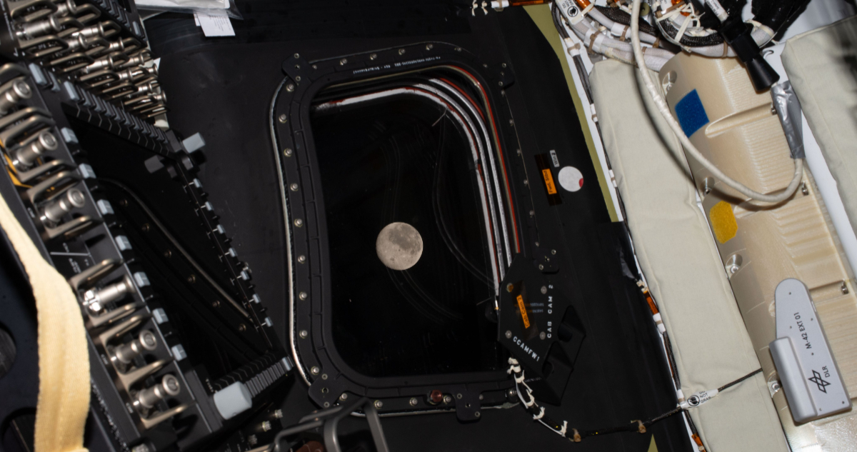 Foto de la Luna vista por la misión Artemis II
