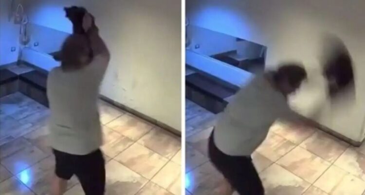 Irracional ataque a un perro fue captado en video de seguridad y conmociona a Argentina