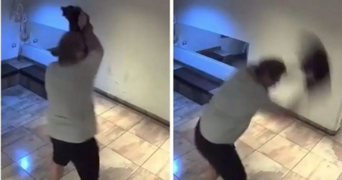 Irracional ataque a un perro fue captado en video de seguridad y conmociona a Argentina