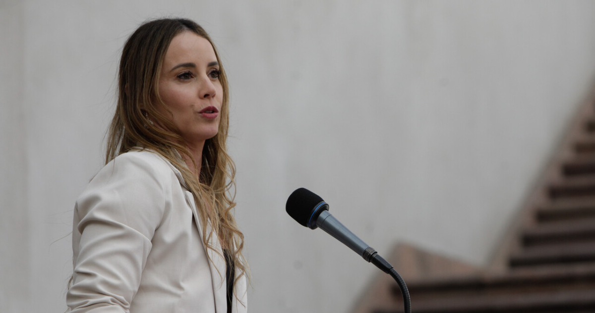 Sedini confirma que no habrá auditoría internacional: “Es un costo enorme”