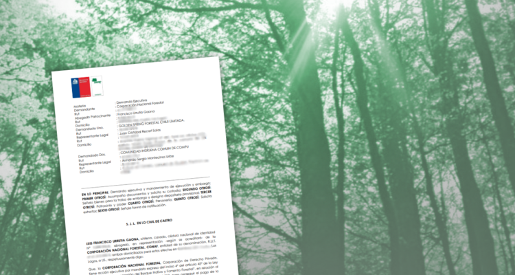 $22 mil millones de saldo: Conaf arremete contra comunidad mapuche y forestal china por no pagar multa