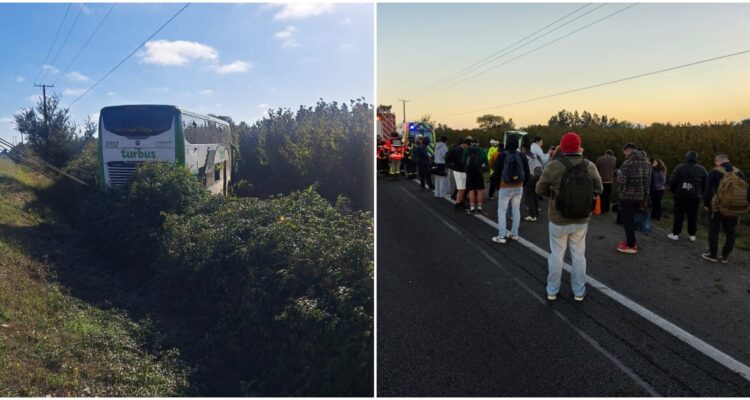 Bus costado matorrales ruta 5 Sur