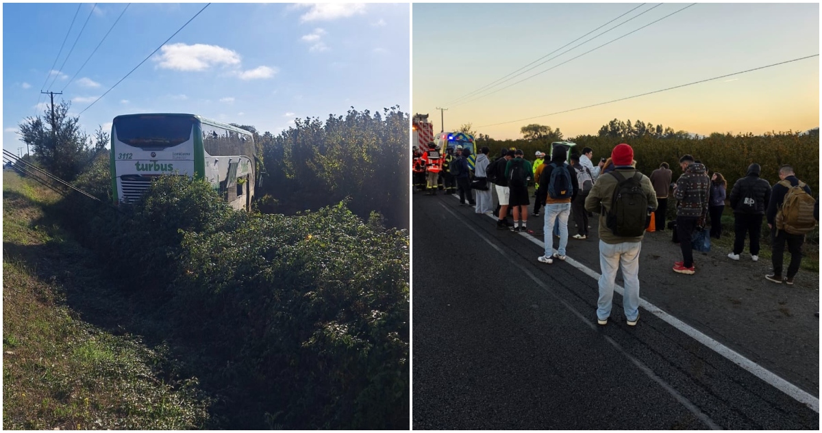 Bus costado matorrales ruta 5 Sur