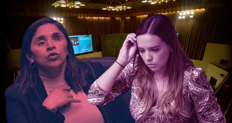 Campillai pide medidas al Senado tras investigación a Flores por eventual fraude al fisco