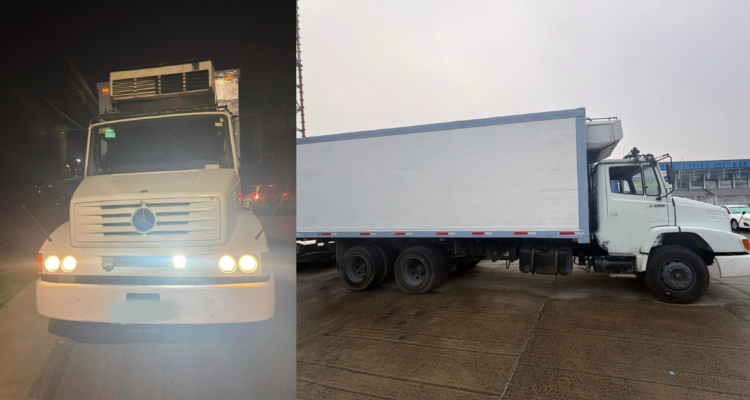 Sujetos robaron camión con 11 toneladas de salmón tras fingir daños en auto en Los Lagos: un detenido