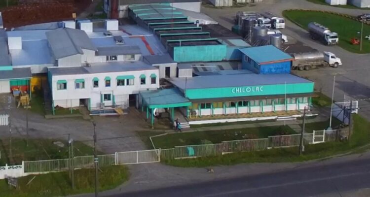 Juzgado declara nulo despido de trabajador de Chilolac y ordena a empresa a pagar millonaria indemnización