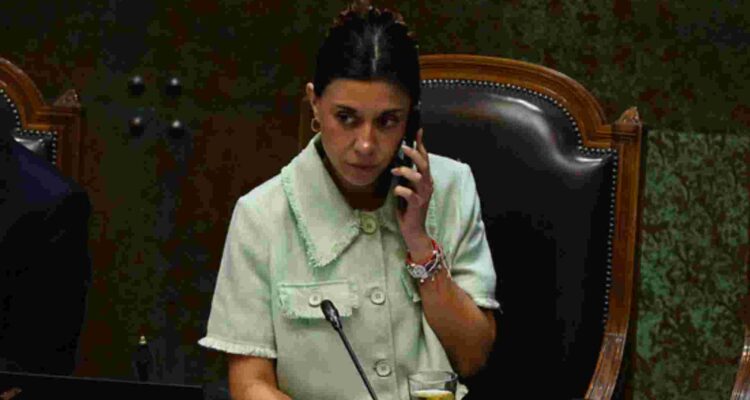 Senadora Cicardini y agenda del gobierno: "Hay más incertidumbre que certeza en temas de seguridad"