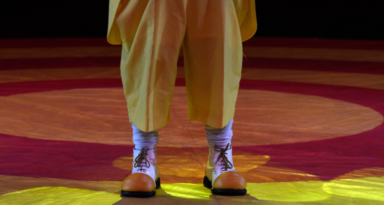 Municipalidad de Temuco busca clausurar dos circos por infracciones y reclamos de vecinos