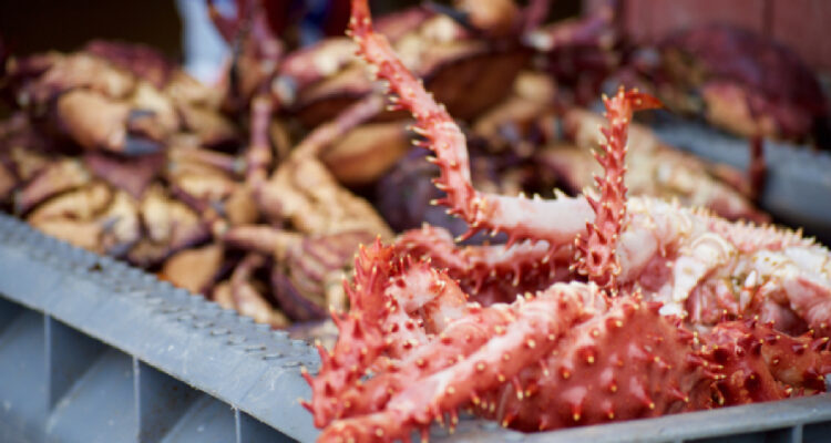 “Que se indemnice lo que no se pagó”: Pescadores presentarían demanda por colusión de la centolla