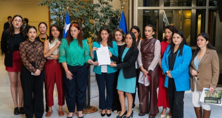 Comisión de Mujeres de la Cámara rechaza agresión a ministra Lincolao: “Debilita la democracia”