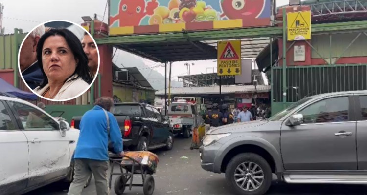 Con Steinert a la cabeza: decenas de policías llegan a la Vega Central para nuevo control migratorio