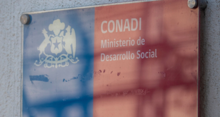 Conadi volverá a contar votos mapuche y aymara para conformar Consejo Nacional