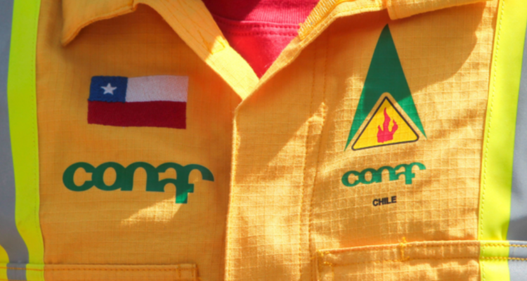 Carabineros indaga robo en dependencias de Conaf en Castro: avalúo de especies supera los $17 millones