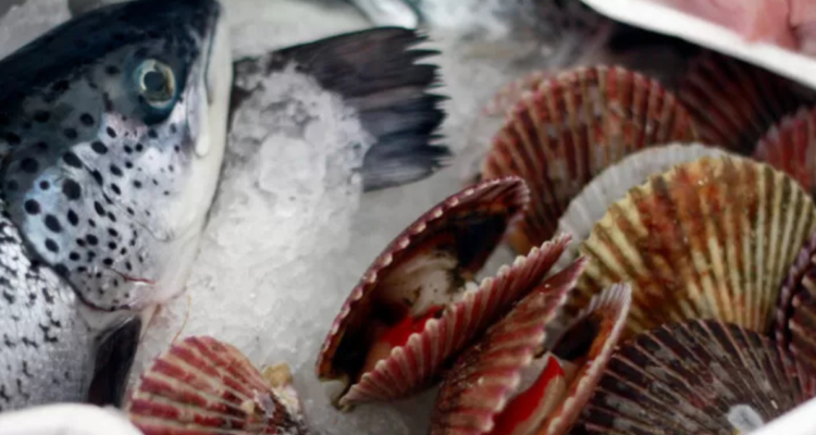 CONTEXTO | AgenciaUNO