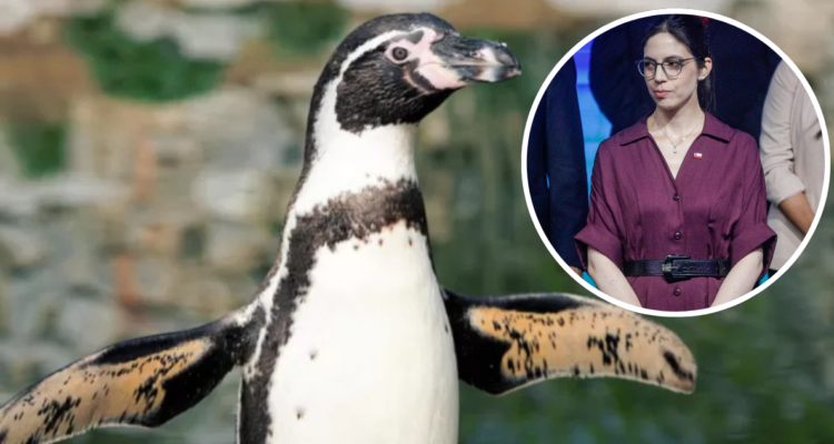 Pixabay | AgenciaUNO