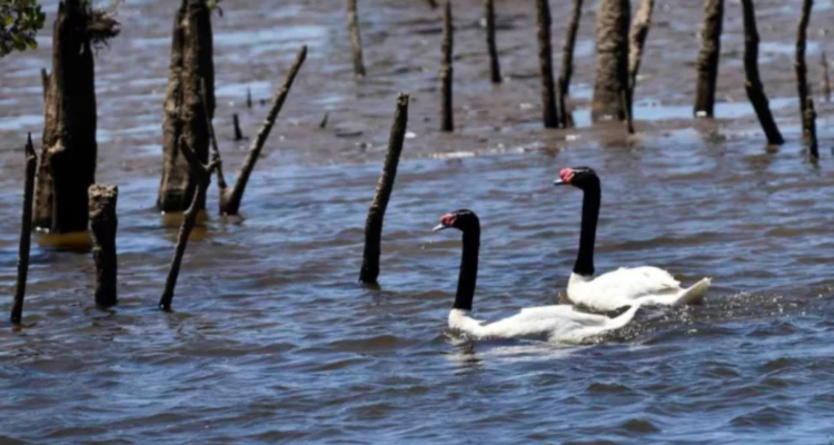 CONTEXTO | AgenciaUNO