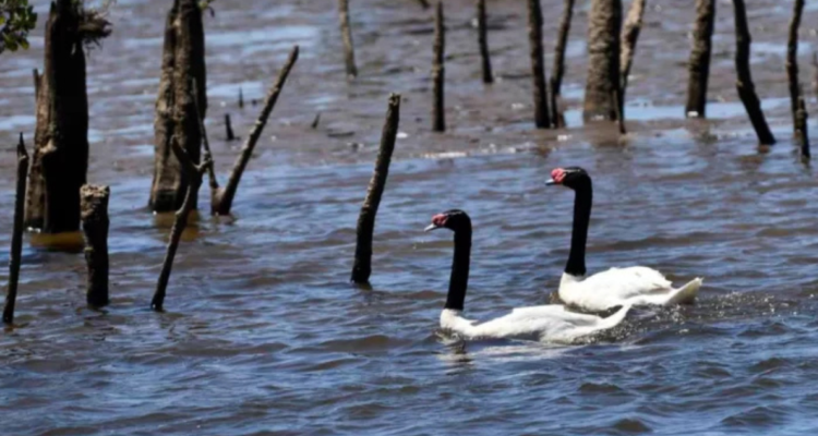 CONTEXTO | Agencia UNO