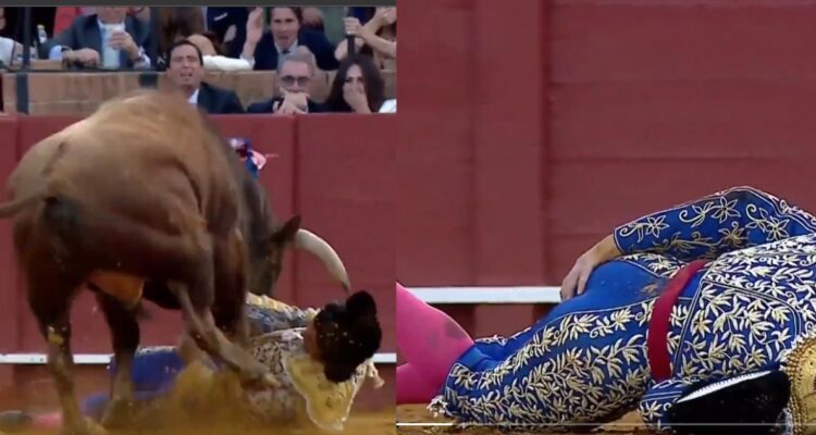 Médicos tuvieron que reconstruir parte íntima de famoso torero tras brutal cornada en España