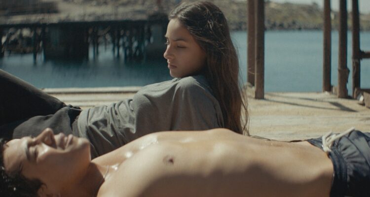 Cuerpo Celeste, de Nayra Ilic García.