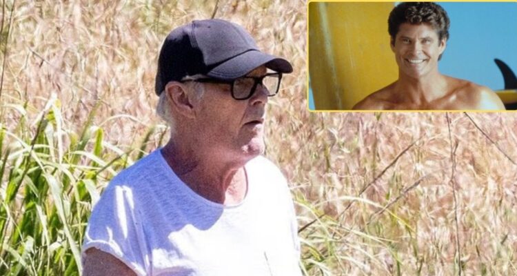 Con bastones y canoso: captan a un irreconocible David Hasselhoff de 73 años tras reciente operación