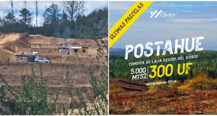 Demanda a empresa para que devuelva 90 millones: clientes compraron parcelas, pero proyecto no se ejecutó