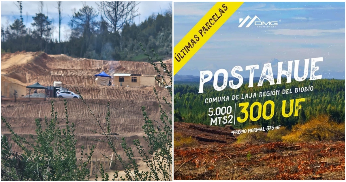 Demanda a empresa para que devuelva 90 millones: clientes compraron parcelas, pero proyecto no se ejecutó