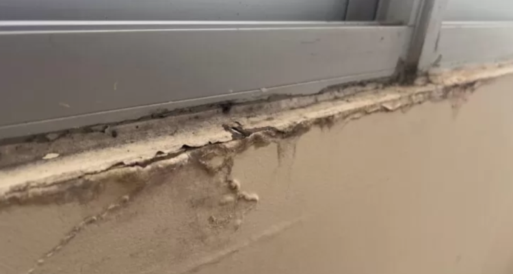 Corredora apunta a falta de comité tras acusación de vecinos por problemas en condominio en Valdivia