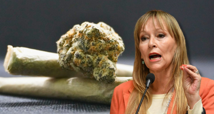 Marihuana y TC: diputados opositores buscan frenar ley que endurece penas por porte y consumo