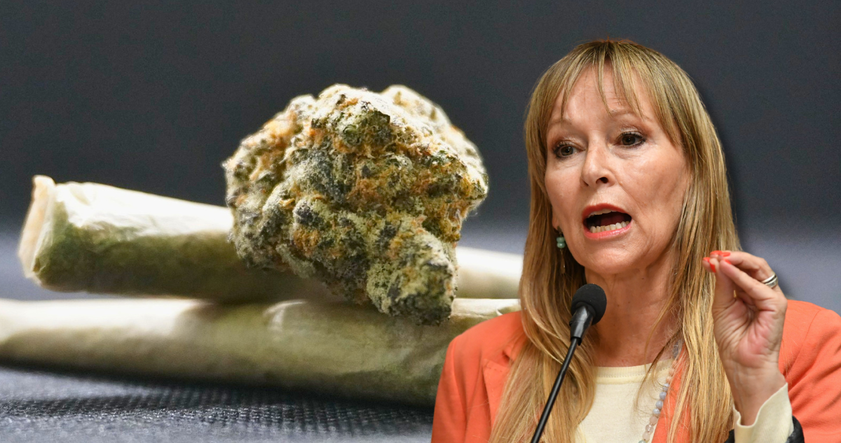 Marihuana y TC: diputados opositores buscan frenar ley que endurece penas por porte y consumo