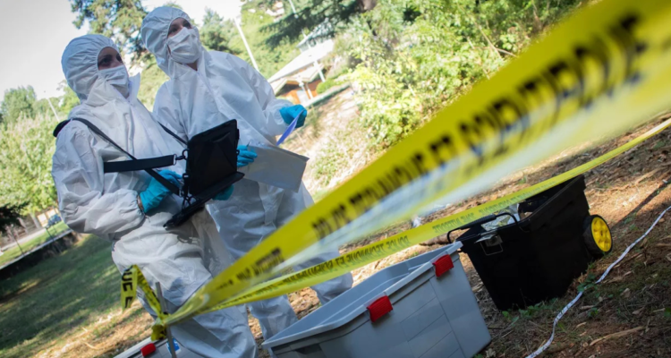 Rescatan a niño que vivía encerrado en furgoneta desde 2024 en Francia: desnutrido y sin poder caminar