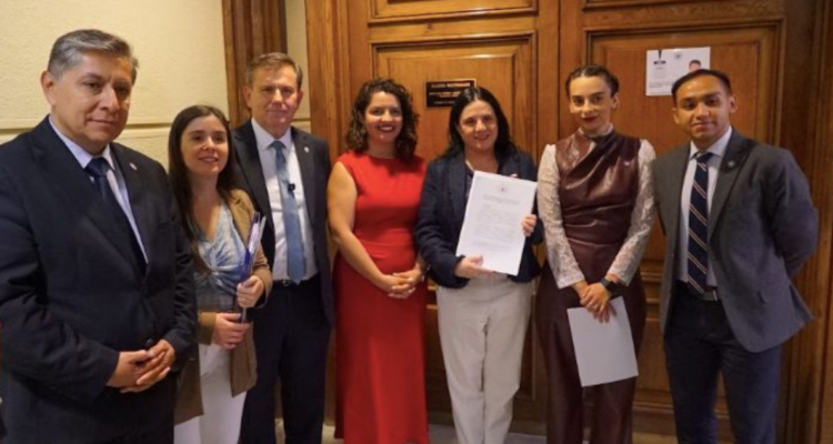 Diputados republicanos entregan propuestas a ministra Steinert para crear Rol Único de Vándalos