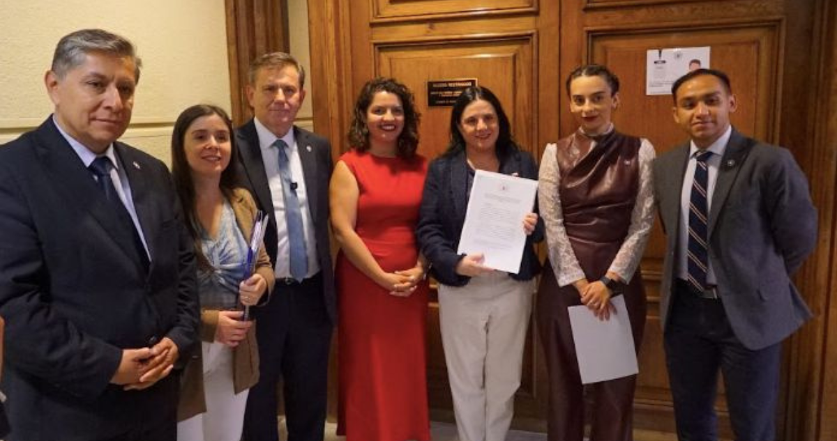 Diputados republicanos entregan propuestas a ministra Steinert para crear Rol Único de Vándalos