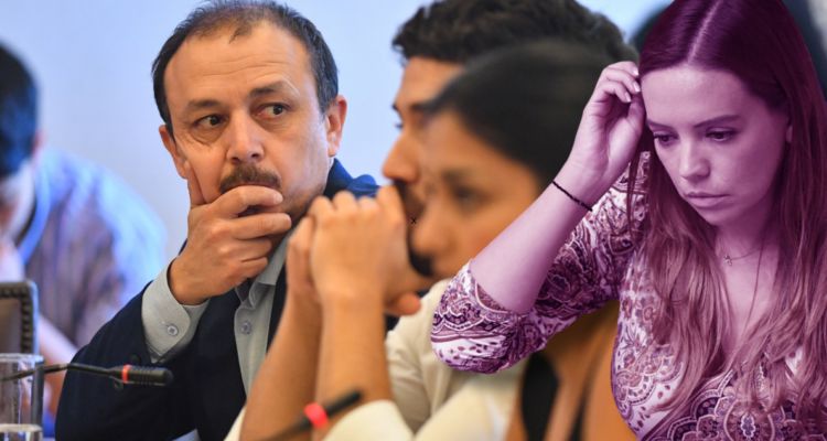 Diputados piden a la Cámara querellarse contra Camila Flores por presunto fraude al fisco