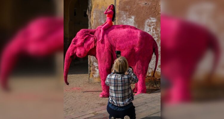 Confirman la muerte de elefanta rosa de polémica sesión de fotos en India: niegan nexo con pintura