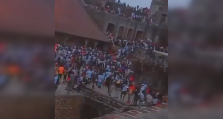 Momentos previos a la estampida | Captura 