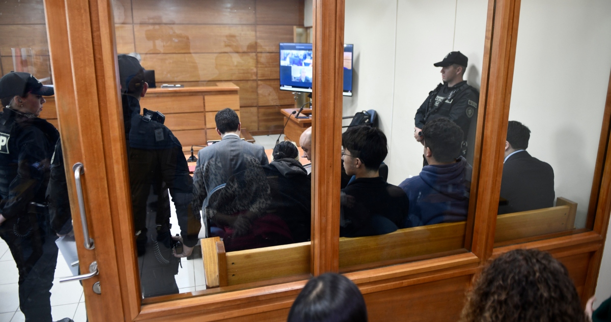 Estudiantes formalizados por ataque a ministra Lincolao