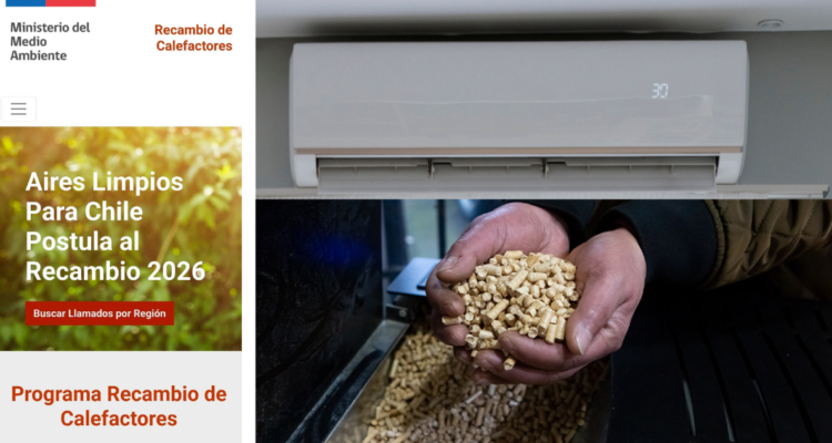 ¿Vives en Osorno, Chillán o Coyhaique? Así puedes postular a una estufa a pellet o aire acondicionado