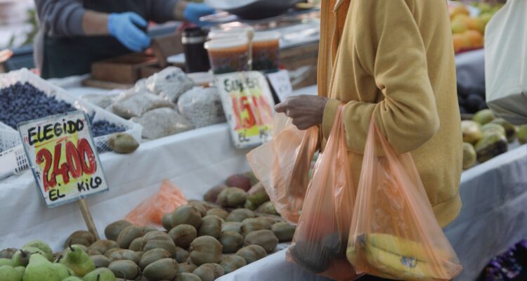 Asociación de municipalidades y gremios de ferias libres anuncian plan para contener alza de precios