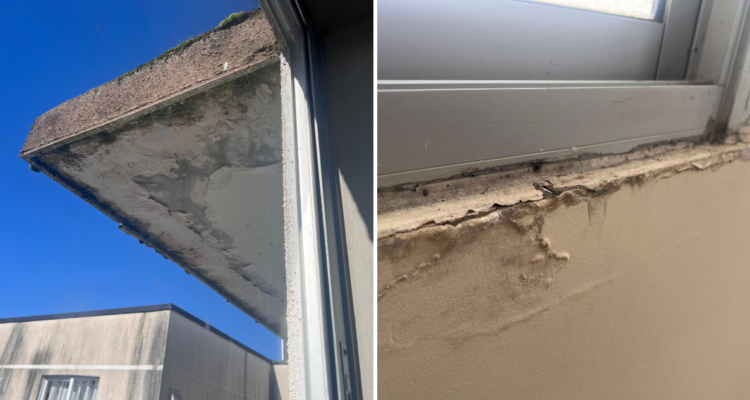 Cedidas a RBB en Valdivia.