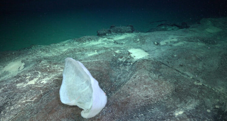 Foto de la fosa de Atacama