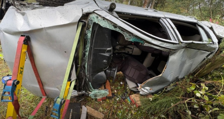 Conductor muere tras volcar su vehículo y caer a quebrada de 15 metros en la Ruta 5 Sur