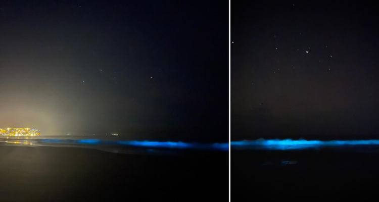 Fenómeno natural ilumina con intenso azul la costa de Guanaqueros y sorprende a quienes lo vieron