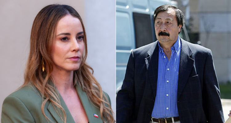 Sedini se desdice y afirma que Galvarino Apablaza no está condenado: acusó aprovechamiento político