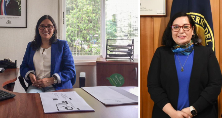 Gobierno pide renuncia a directora de Conadi en Los Ríos pese a que su periodo finalizaba en 4 meses