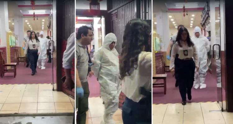 Detienen a hombre acusado de abusar sexualmente de perros en Tomé