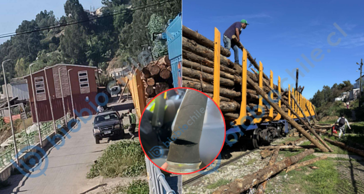 Sujetos sabotearon sistema de frenos de trenes: Transap se querella por robo de madera en Lota
