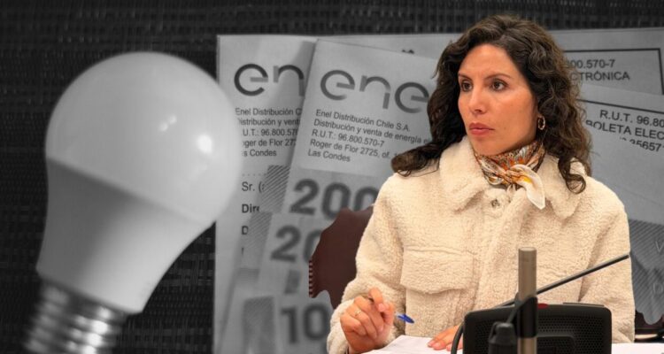 Senadora Gatica pide apurar proyecto para extender subsidio eléctrico a 2027: no estaría garantizado