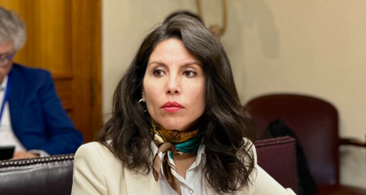 Senadora Gatica pide revertir instructivo del gobierno anterior que eleva ahorro para subsidios