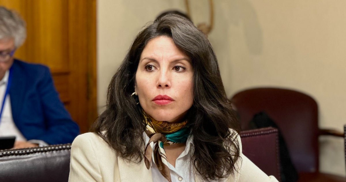 Senadora Gatica pide revertir instructivo del gobierno anterior que eleva ahorro para subsidios