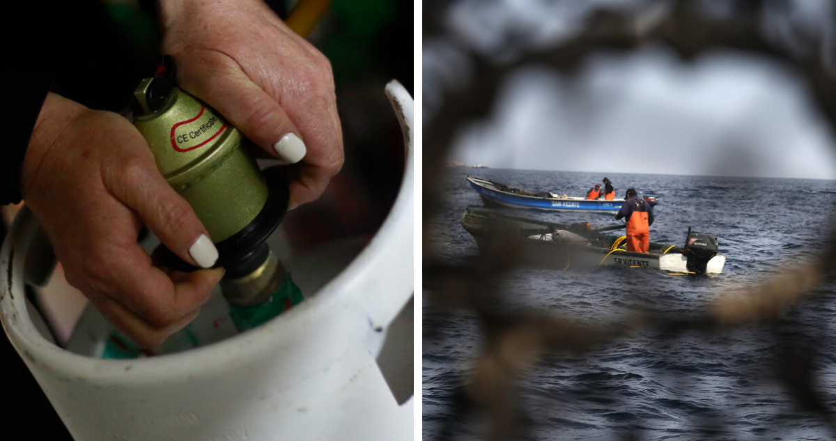 Gobierno anuncia aporte directo de balón de gas a familias vulnerables y ayuda para la pesca artesanal